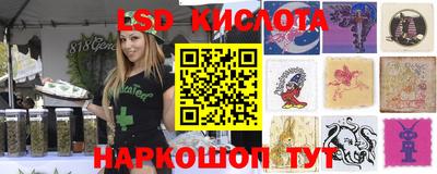 ALPHA PVP Новодвинск