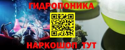 дмт Новозыбков