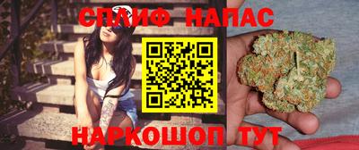 дмт Новозыбков