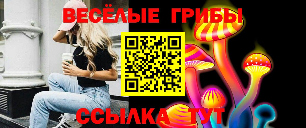 Галлюциногенные грибы MAGIC MUSHROOMS  Вход с VPN  Галлюциногенные грибы Psilocybine cubensis  хочу наркоту  Сорочинск 