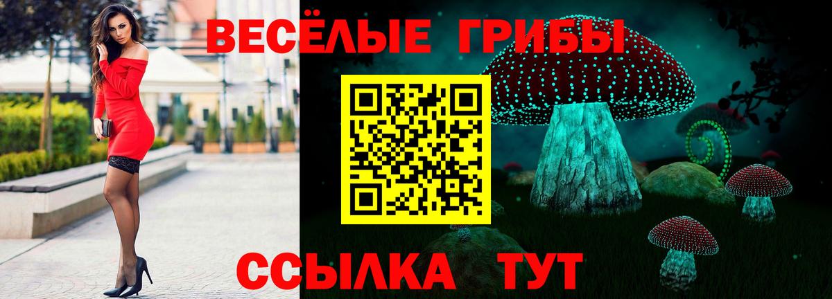 Псилоцибиновые грибы Cubensis Сорочинск